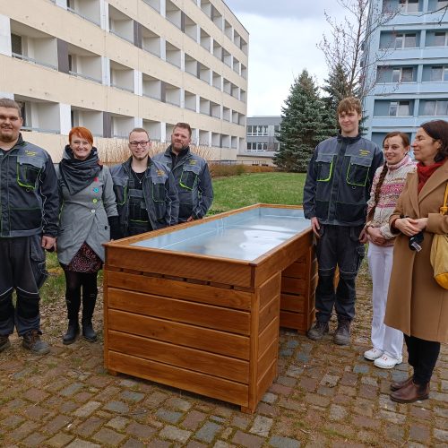 MicrosoftTeams-image (48) Pacienti na vozíčku mohou v naší nemocnici nově zahradničit