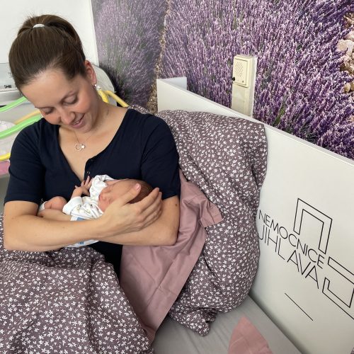 MicrosoftTeams-image (64) Loňský rok ovládli jihlavskou porodnici chlapci