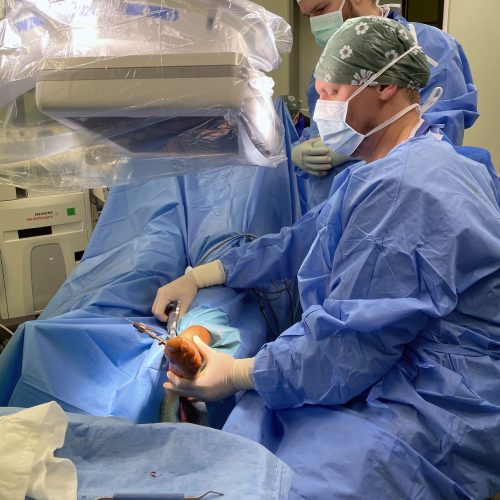 MUDr.Daniel Večerník Ortopedi v jihlavské nemocnice učí kolegy unikátní operaci