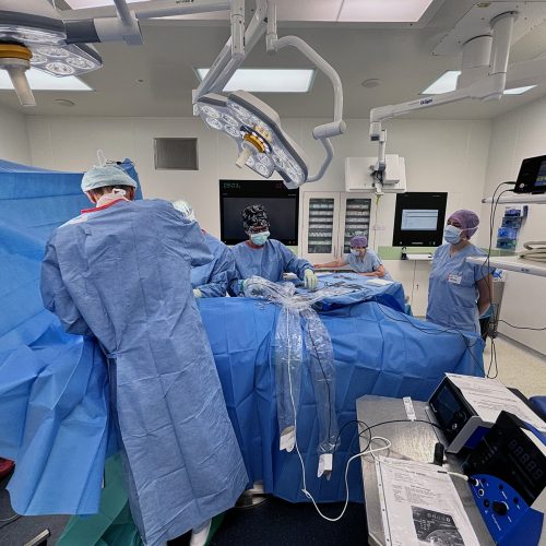 TZ_rak_prs magnetické zrno